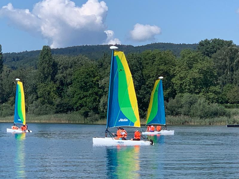 Eine Gruppe Segelboote fährt bei leichtem Wind aufs Steinhuder Meer