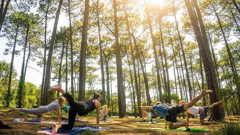 Eine Gruppe ist im Wald und macht im Surf-Camp Südfrankreich eine Runde Yoga