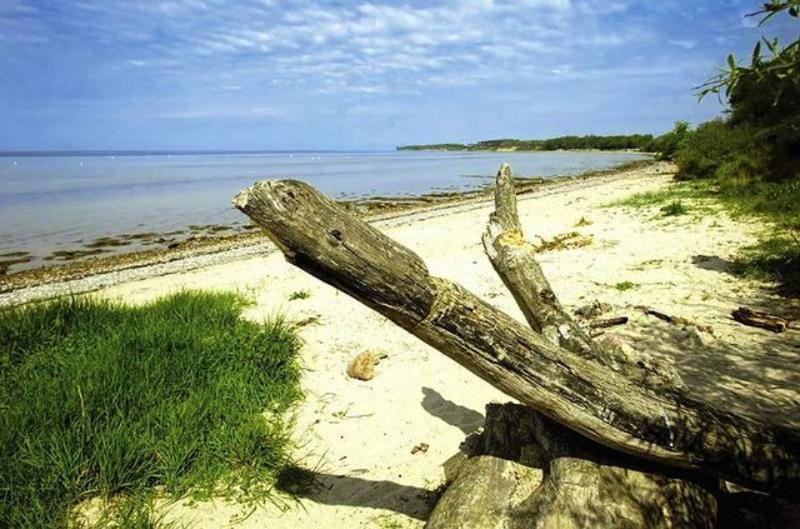 Ein verlassener Naturstrand einer Ostseeinsel für das Ferienprogramm Kiel 