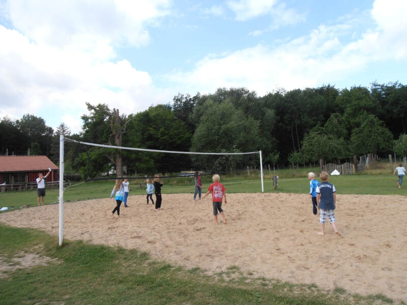 Kinder spielen Volleyball im Grünen im Sommerferienlager und Englischcamp in Wiligrad