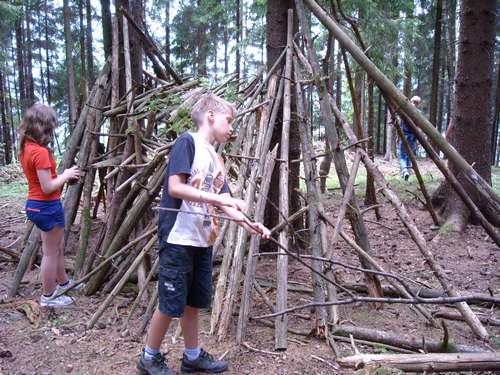 Kinder bauen einen Unterschlupf aus Ästen im Wald