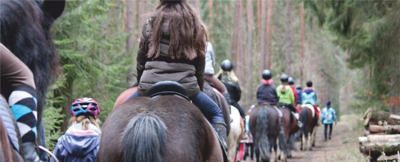 Die Teilnehmer vom Ponycamp reiten im Wald