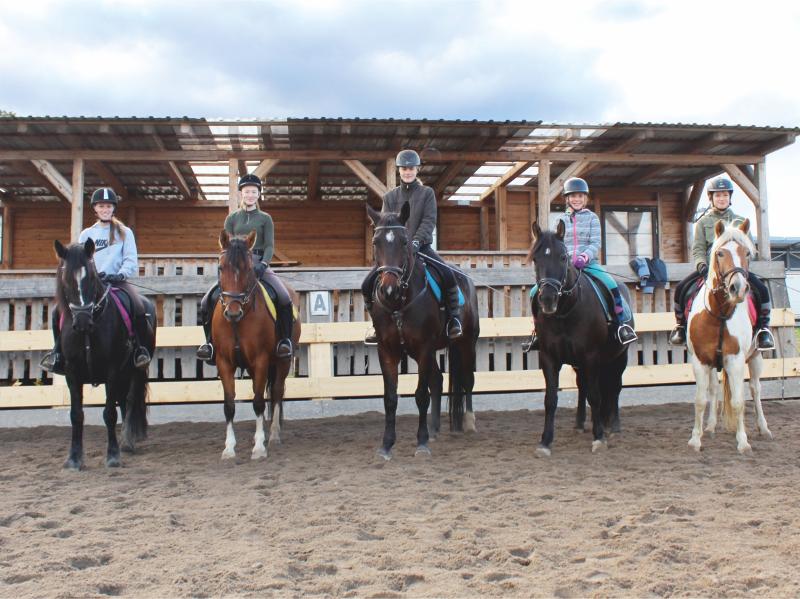 Eine Gruppe im Ponycamp nimmt Reitunterricht