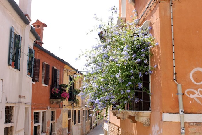 Vue d'une rue prise dans une colonie de vacances en Croatie