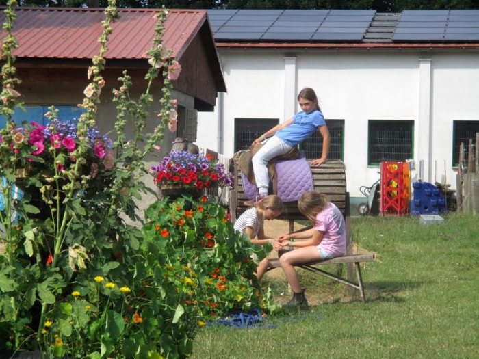 Freizeit wird in den Reiterferien in Mecklenburg-Vorpommern groß geschrieben
