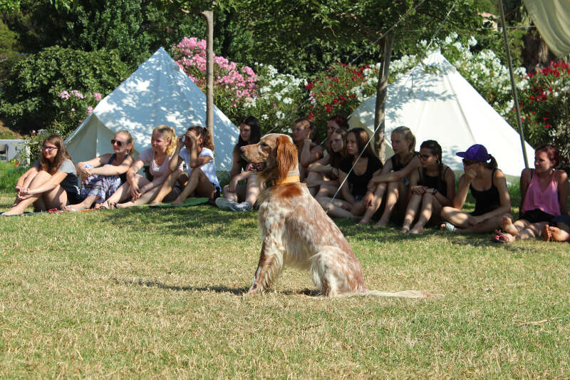 Gruppe auf Wiese mit Hund auf Ferienfreizeit Korsika