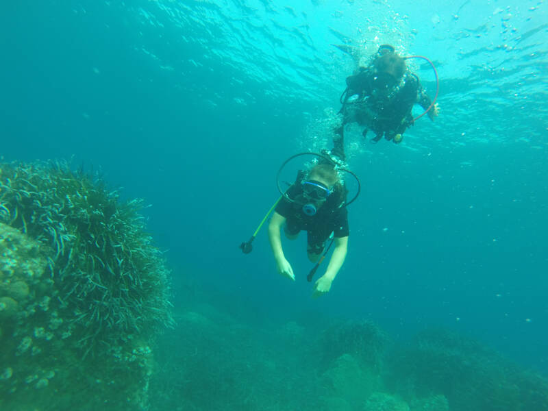 Mädchen tauchen zu Korallen auf Ferienfreizeit Korsika
