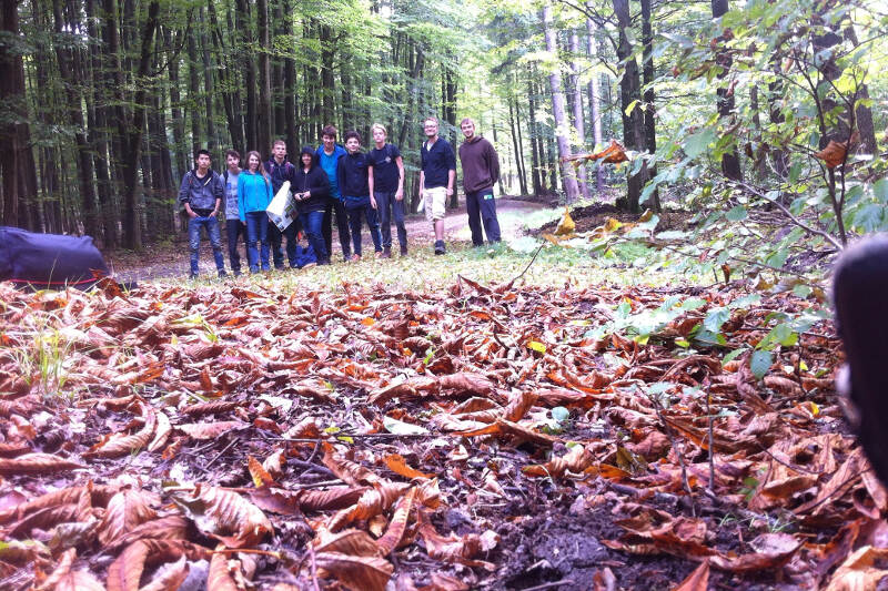 Laub im Wald mit Gruppe in der Kinderfreizeit Bayern