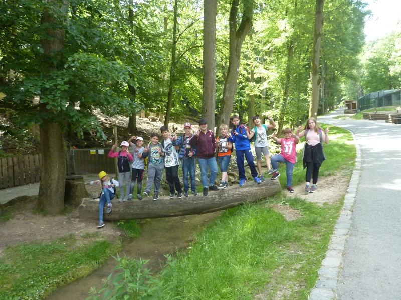 Kinder stehen gemeinsam im Wald in dem Einsteiger-Ferienlager
