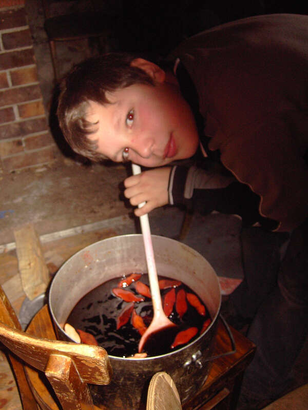 Ein Kind mixt im Halloweencamp einen Zaubertrank in einem Kessel