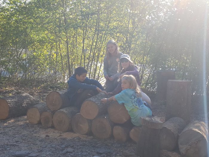 Kinder spielen auf Holzstämmen auf der Ferienfreizeit in Belgien