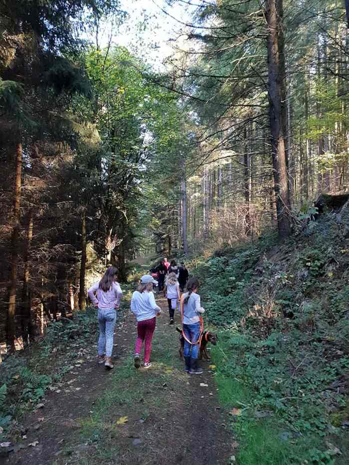 Kinder wandern durch den Wald auf der Ferienfreizeit in Belgien