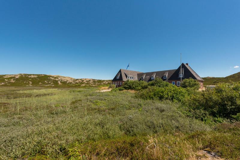Kinder eines Herbstcamps sind in den Dünen