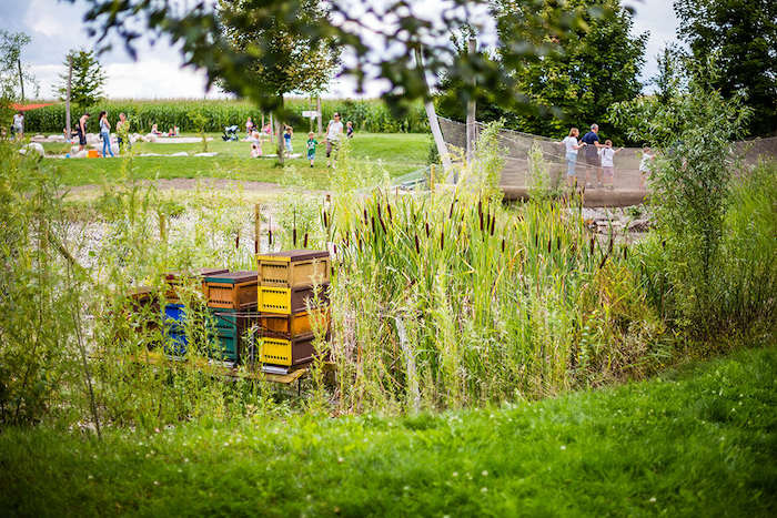 Bienenstöcke im Feriencamp Stuttgart