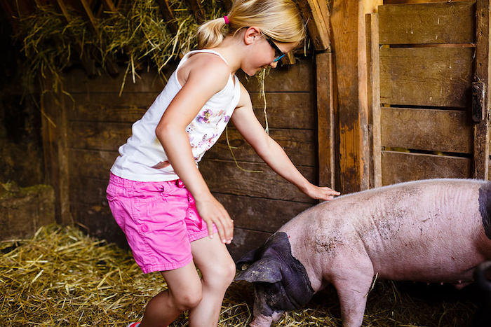 Mädchen streichelt ein Schwein im Stall in der Ferienfreizeit Stuttgart