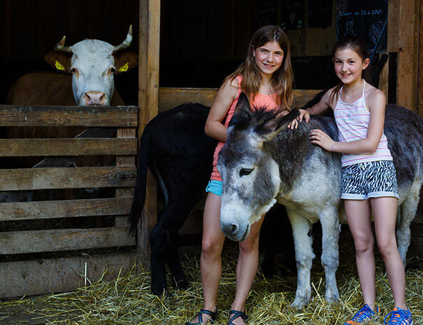 Mädchen streicheln Esel auf der Reitfreizeit Stuttgart