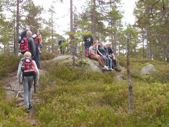 Wandern im Wald im Outdoorcamp Schweden
