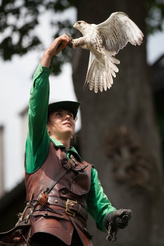 Falknerin mit Falke beim Kidscamp in Österreich