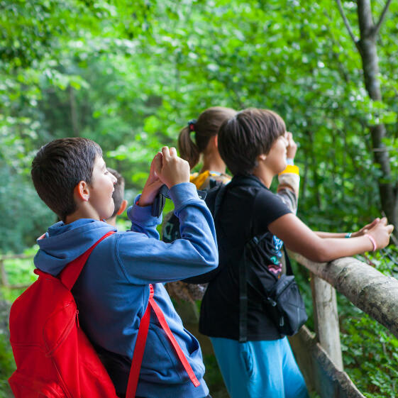 Kinder erkunden die Natur im Kidscamp in Österreich
