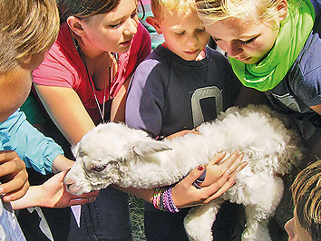 Eine Gruppe Kinder hält in den Angelferien ein Lamm