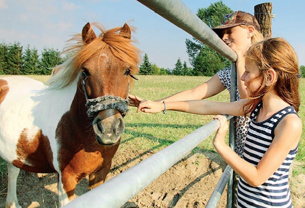 Mädchen streicheln ein Pony im Kinderurlaub auf dem Bauernhof. 