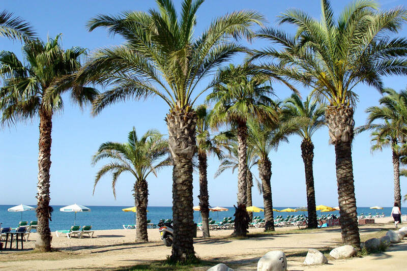 Strandpromenade mit Palmen bei einer Jugendreise nach Spanien