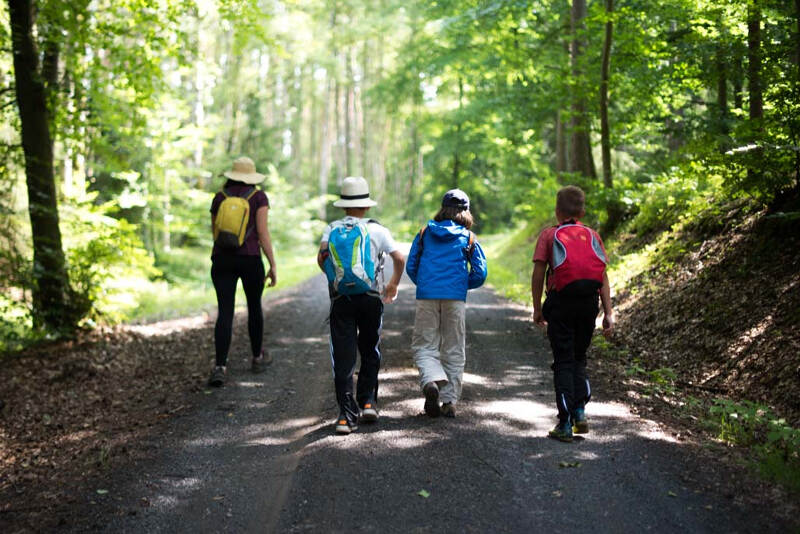 Kinder laufen im Wald bei den Reiterferien Kinder