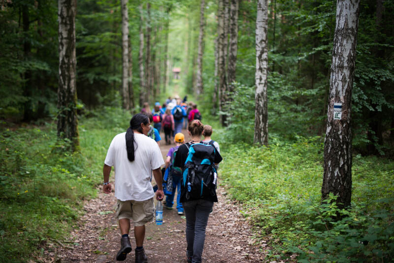 Eine Gruppe aus einem Ferien Sprachkurs wandert durch den Wald