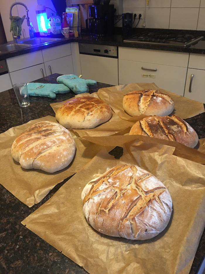 Brot im Feriencamp in Brandenburg
