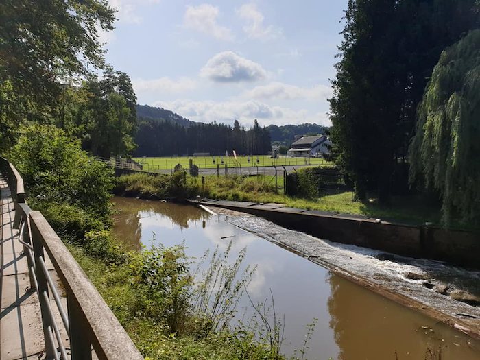 Blik op pittoresk bos tijdens jongerenvakantie in Frankrijk.
