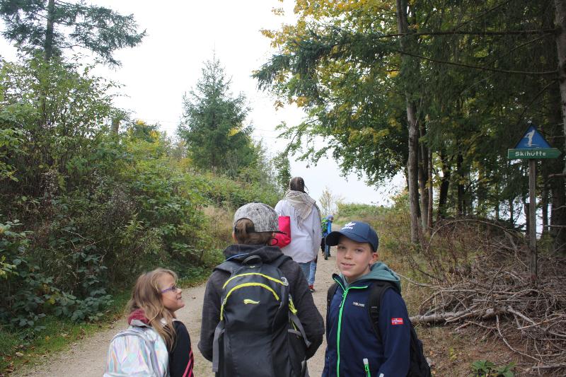 Kinder machen im Ferienlager Sachsen eine Wanderung