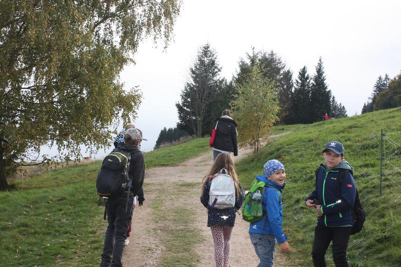 Kinder laufen auf einem Weg zwischen den Wiesen im Feriencamp Sachsen