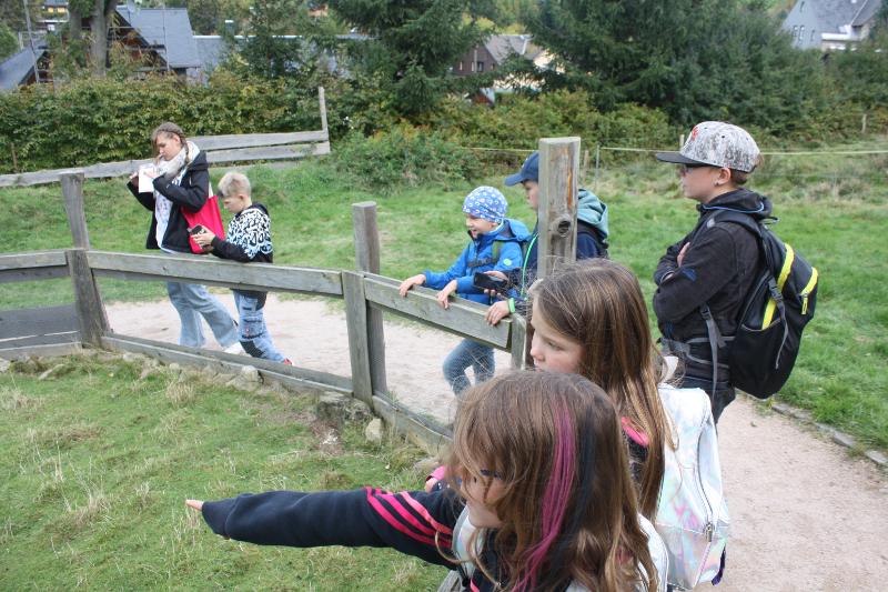 Die Kinder betrachten Tiere im Ferienlager Sachsen