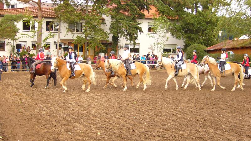 Im Reiturlaub Kinder reiten die Teilnehmer auf Pferden und Ponys