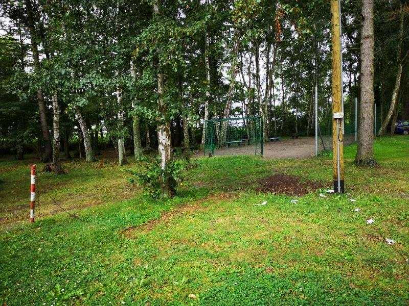 Kinder der Leipzig Herbstferien wandern im Wald