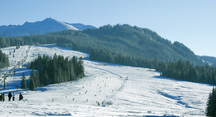 Bewaldete Berge in einer Schneelandschaft