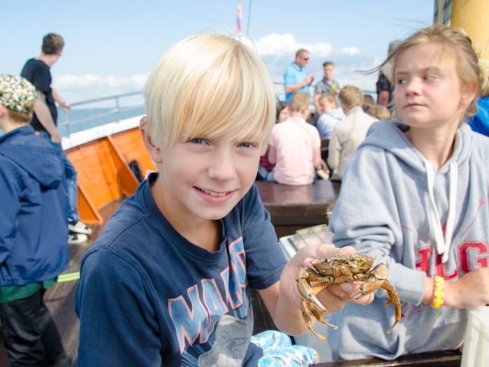 Junge präsentiert eine Krabbe im Ferienlager auf Sylt