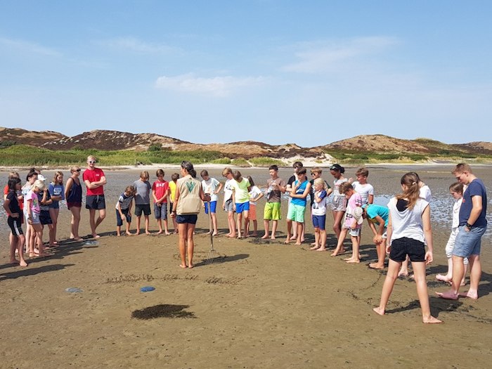 Gruppe hört im Watt einen Vortrag im Ferienlager auf Sylt
