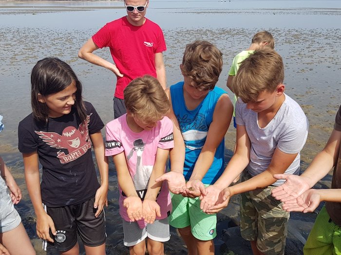 Kinder zeigen, was sie auf der Wattwanderung gefunden haben im Ferienlager auf Sylt