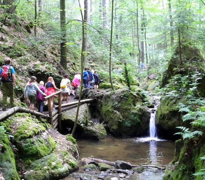 Kinder und Jugendliche auf Wanderung durch die Sächsische Schweiz auf Jugendreise