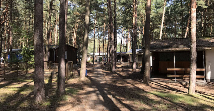 Waldidylle und Bungalows im Ferienlager in Brandenburg