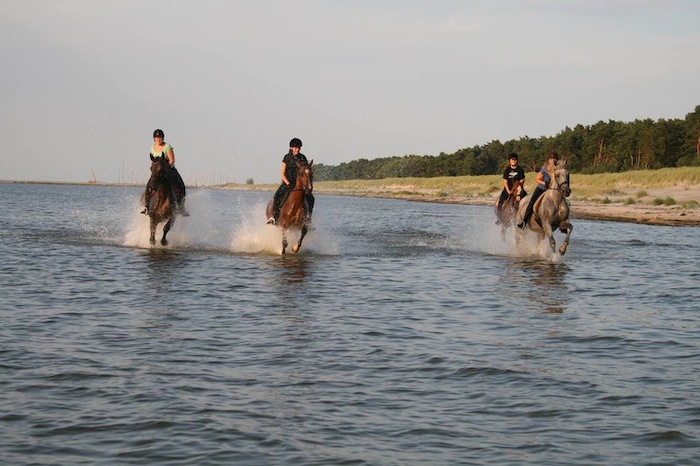 Jugendliche in den Reiterferien MV reiten am Meer