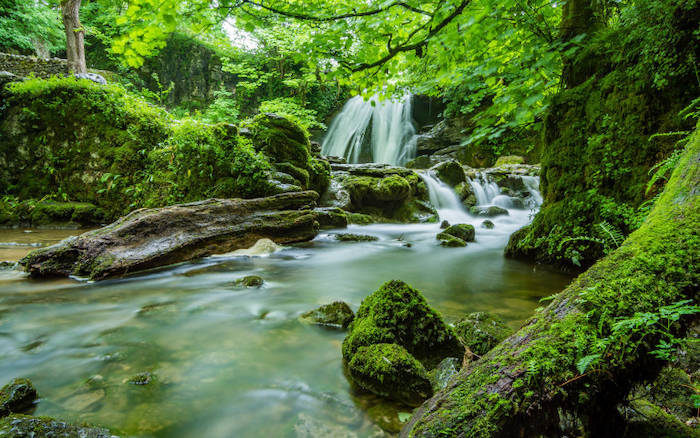 Ein Wasserfall rauscht mitten im Wald einen Felsen herunter in den Sommerfreizeiten Gerlingen.
