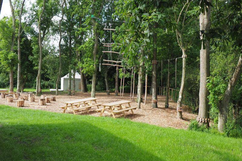Kinder eines Sportcamps sind im Kletterwald