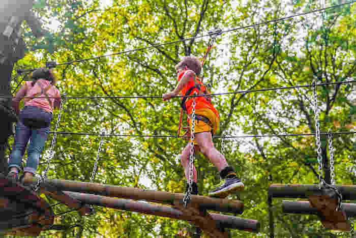 Kinder einer Kinderreise Holland klettern durch die Bäume