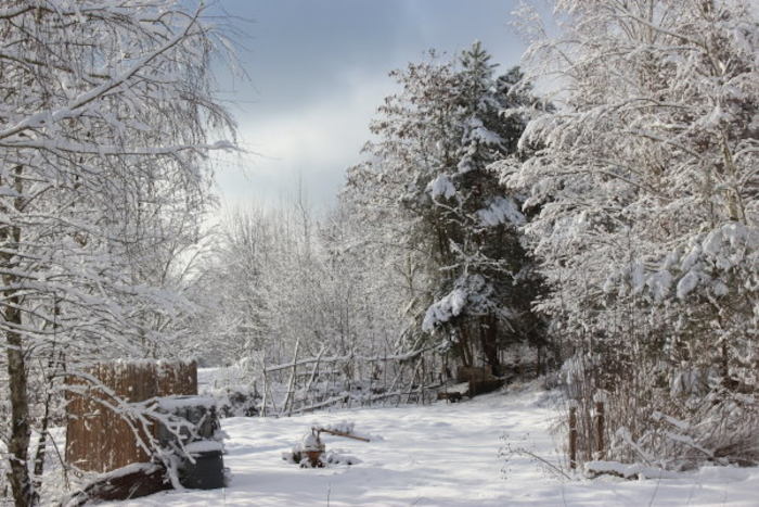In den Frankfurt Winterferien sieht man eine traumhafte Winterlandschaft