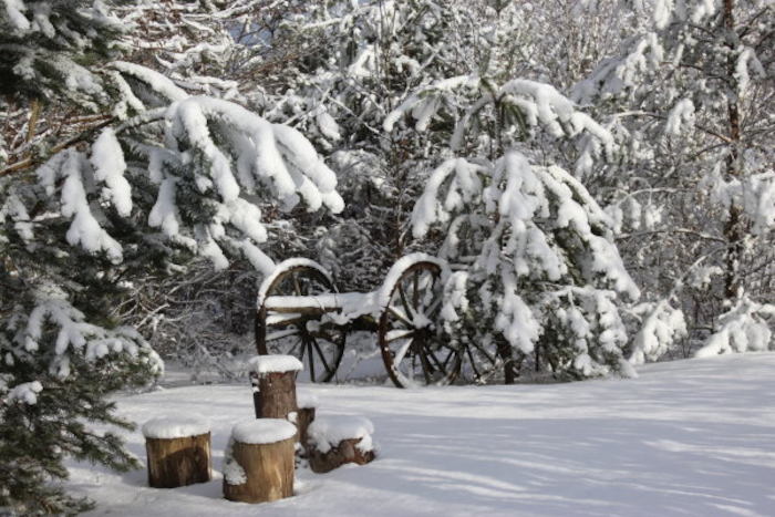 Kinder der Herbstferien Berlin laufen durch Schnee