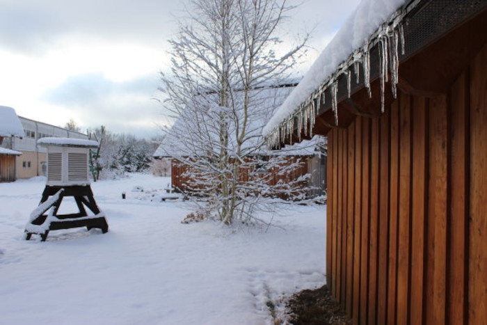 Kinder der Herbstferien Berlin sind im Wintercamp