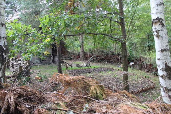 Kinder der Herbstferien Berlin erkunden den Wald