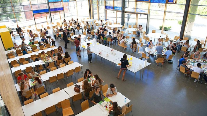 Teilnehmer eines Schülersprachkurses Englisch essen zusammen